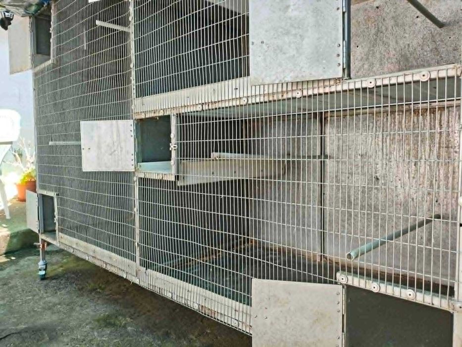 Viveiro para aves 1.45mtsX2mtsX0.60mts
