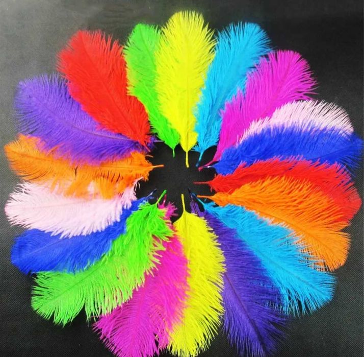 Penas de avestruz decorativas