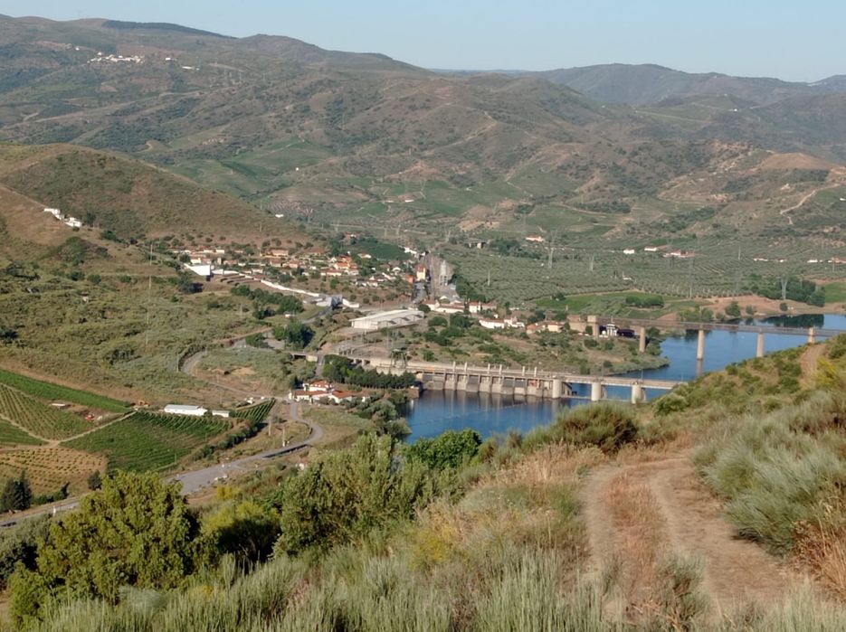 Terreno Rustico em Sequeiros - Torre de Moncorvo