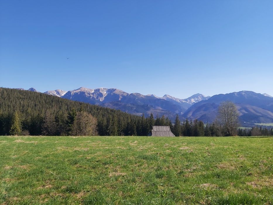 Wypoczynek w górach. Apartament u Basi Zakopane-Dzianisz-Chochołów