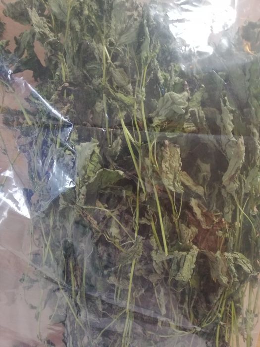 Melisa suszona cała 50g