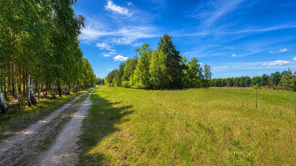 Prywatna przestrzeń z potencjałem 4,47ha- warunki zabudowy na 0,5 ha - Więcej