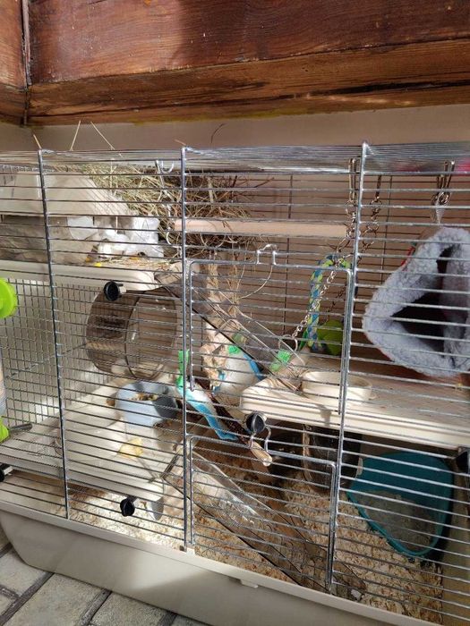 Nowa Klatka Dla Gryzoni Dla Chomika Królika Beżowa 500x330x455