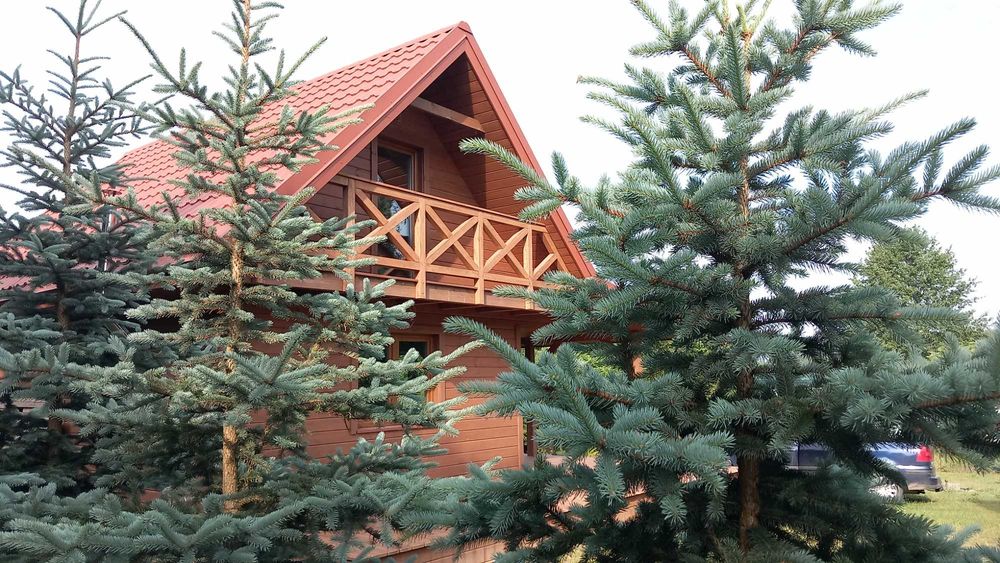 Mazury , domki całoroczne - Wzgórza Dybowskie balia z jacuzzi , sauna