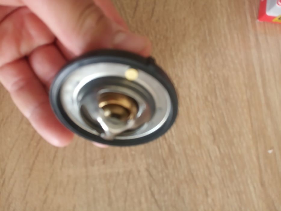 Термостат рабочий.