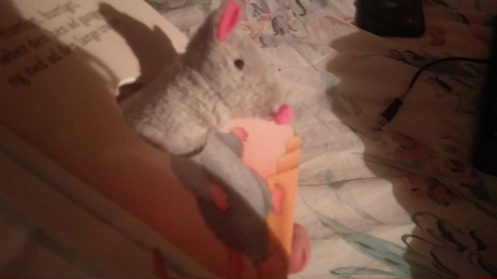 детская книга сказка немецкий про мышку игра мышь кукольный театр