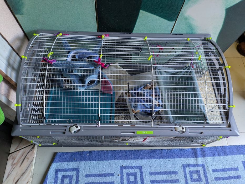 Gaiola furão/coelho