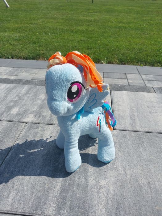 Pluszak Rainbowdash