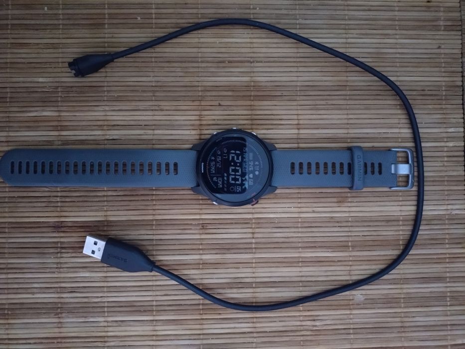 GARMIN Forerunner 255 (cinzento)