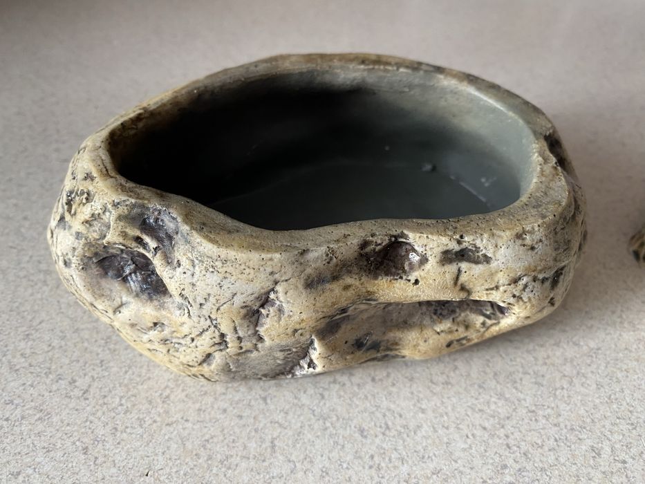 Miseczki - akcesoria do terrarium