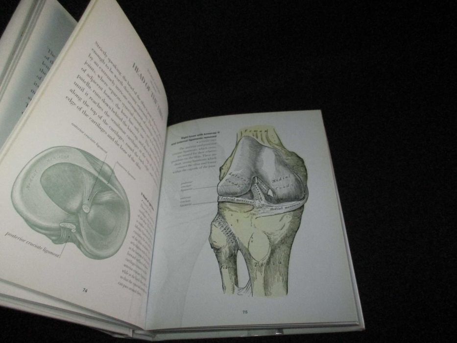 Livro Pocket Anatomy Christopher Joseph