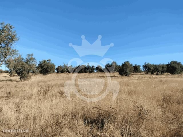 Terreno Rústico 4500 M2