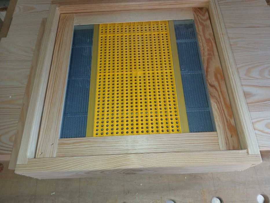 Dennica wielkopolska do poławiania pyłku