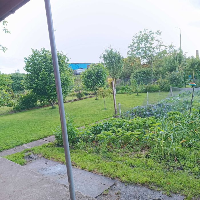 Działka ROD im. Bolesława Chrobrego - Stargard, murowana altana, 306 m² - Widok 5