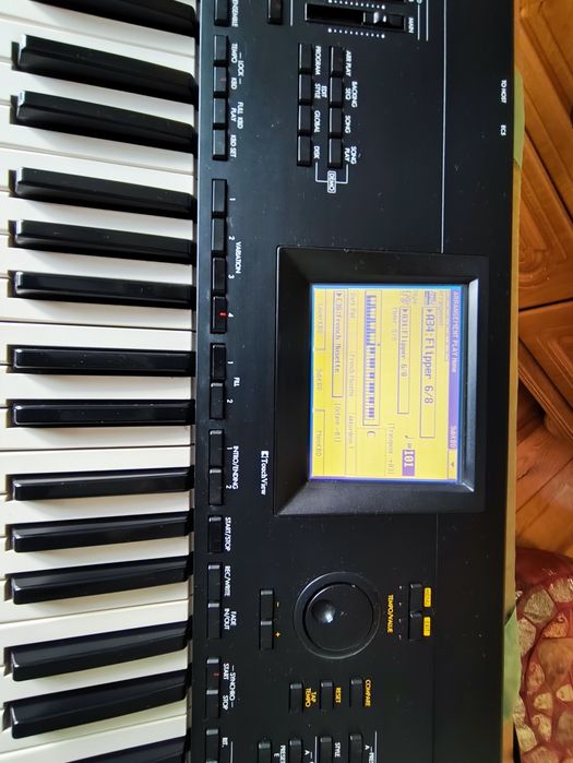Korg i 30 profesjonalny