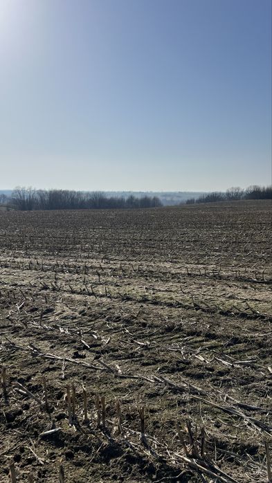 Sprzedam gospodarstwo rolne z zabudowaniami