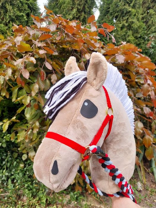 Konik na kiju fiord hobby horse