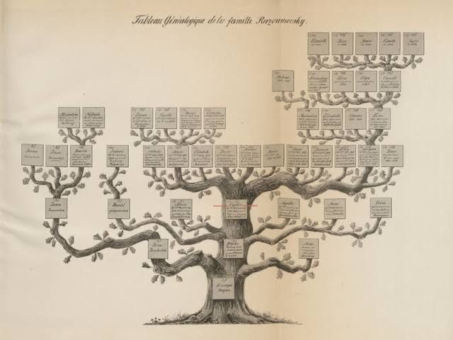 Пошук в метричних книгах. Генеалогічне дерево