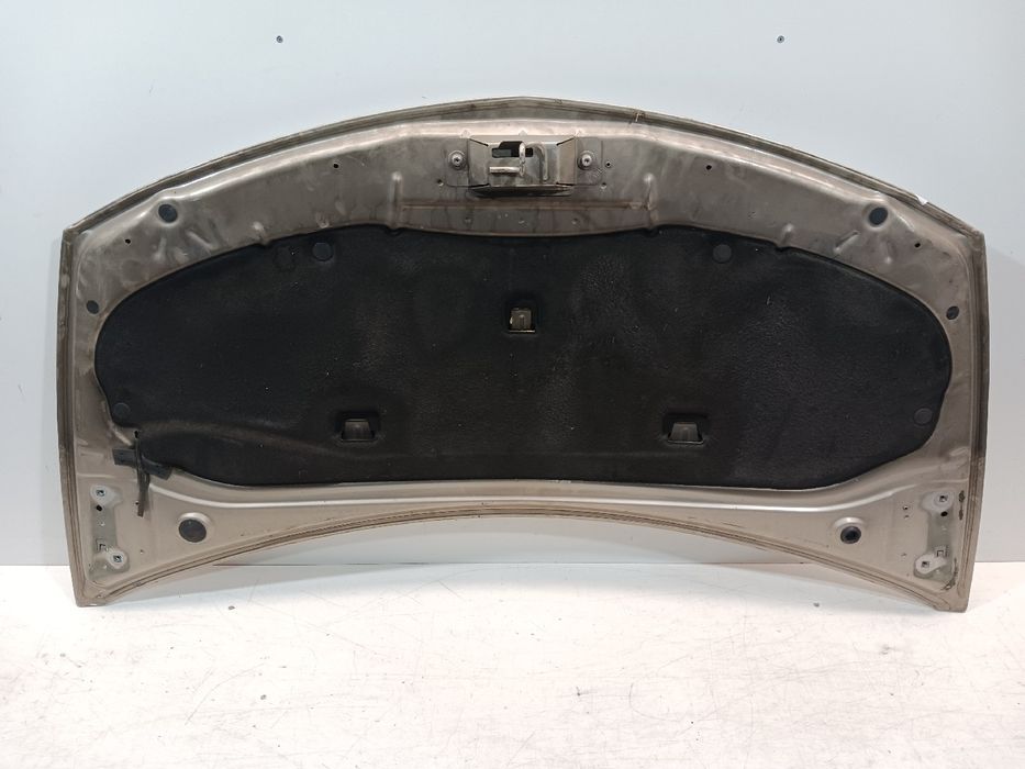 Capot RENAULT Clio III (BR0/1, CR0/1)