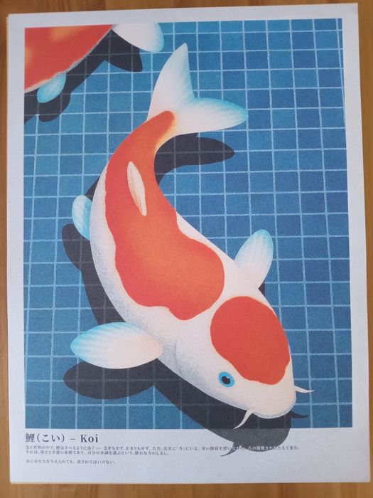 Poster de carpa koi novo 30×40cm