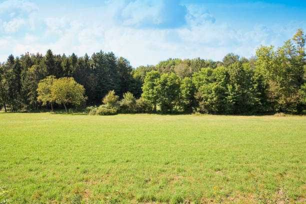 Działki na sprzedaż – Brudzewo