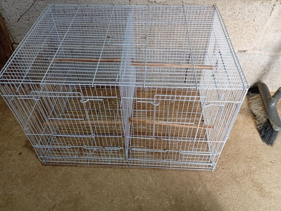 Vendo gaiola com divisão