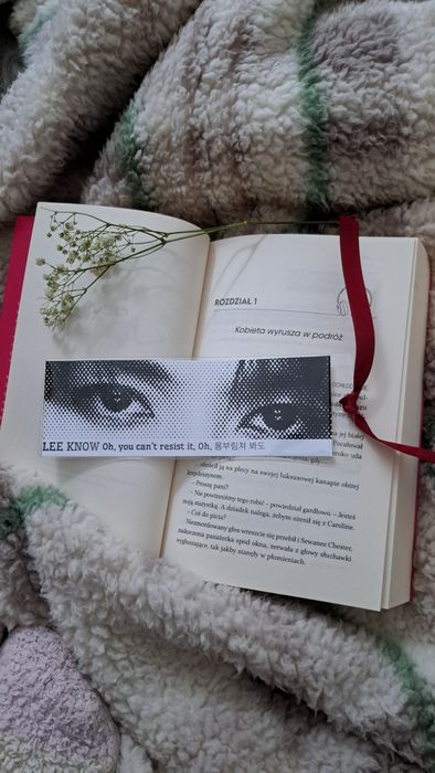 Zakładki do książki Stray Kids