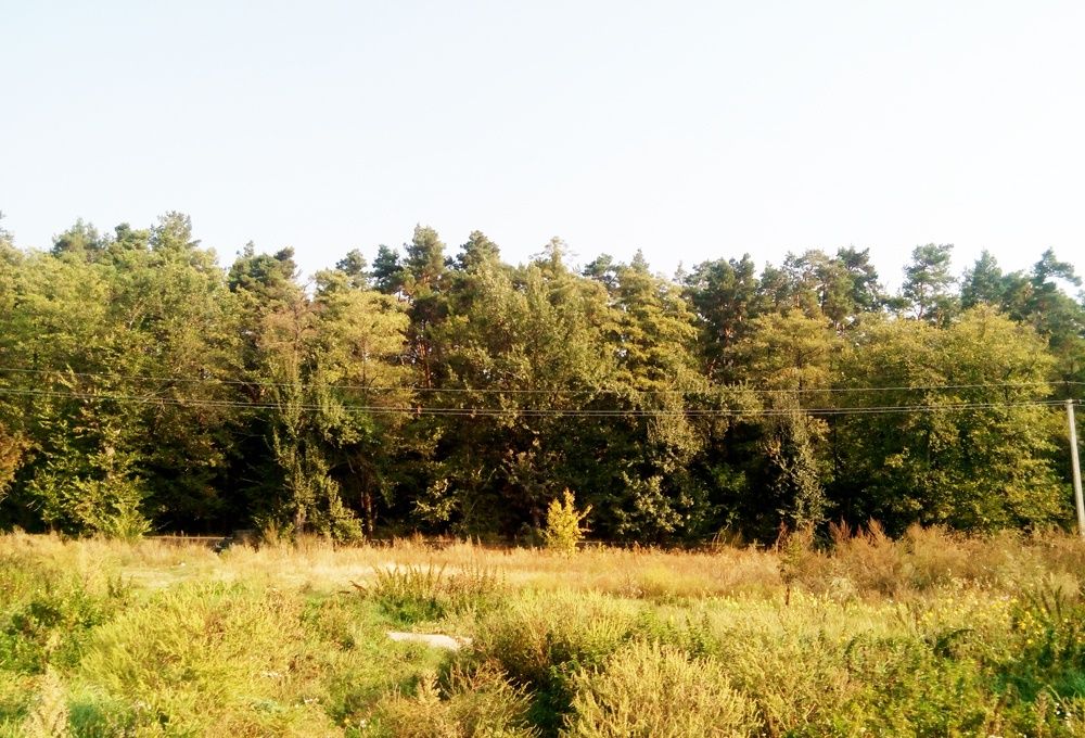 Без комісії. Риболовна – база відпочинку з озером (40+ га) під Києвом