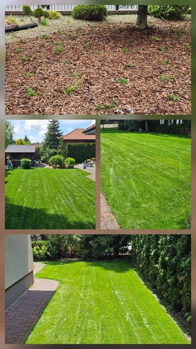 Zakładanie pielęgnacja ogrodów,Usługi ogrodnicze,Nawadnianie, Trawniki
