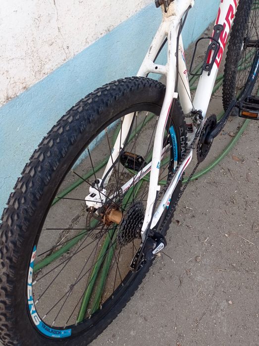 Berg trail rock L 27.5