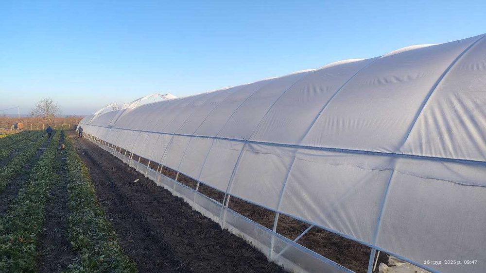 Теплиця 10×50м - вирощуйте овочі круглий рік