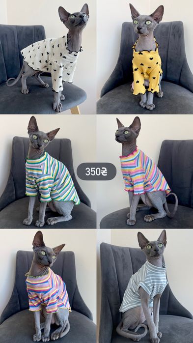 Одяг для кота / котів сфінксів девон-рексів