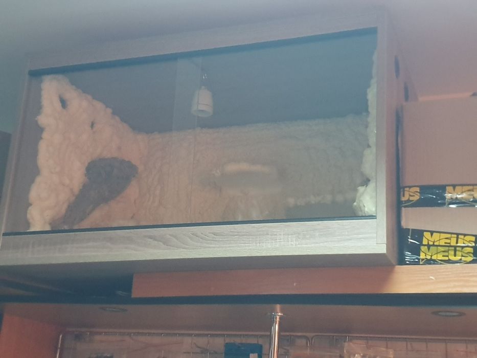 Nowe Terrarium wyposażone