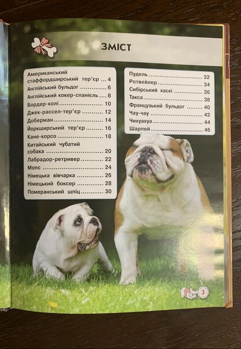 Дитяча енциклопедія. Собаки.