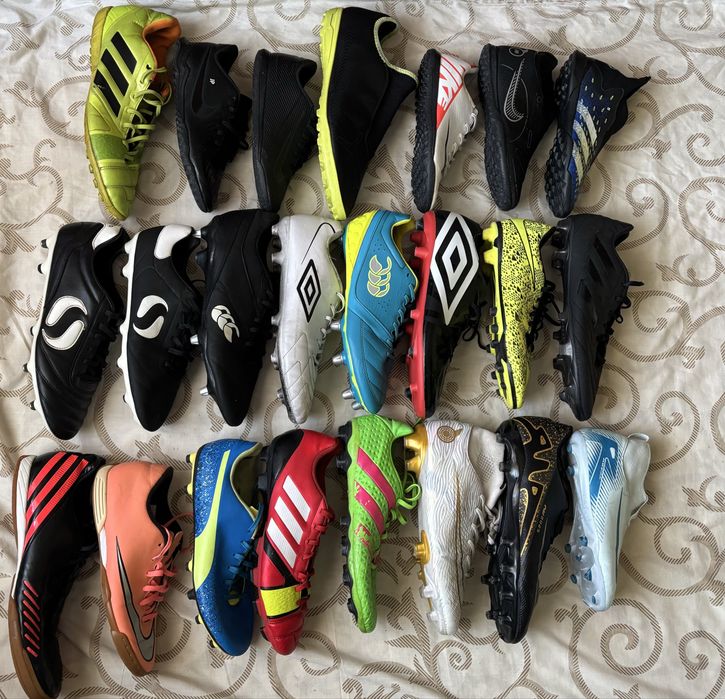 Сороконіжки буци копи