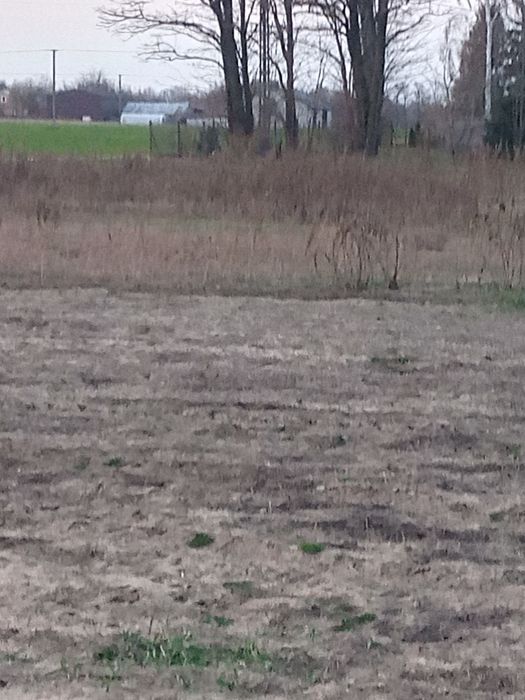 Działka na sprzedaż - Widok 4