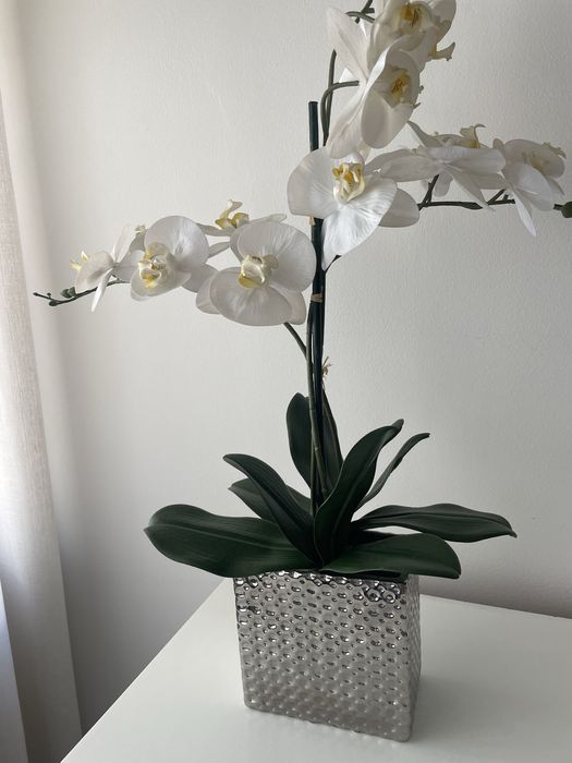 Vaso decorativo