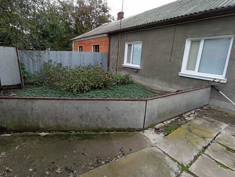 Продаж 1 поверхового будинку з гаражем і ділянкою, с. Петрик