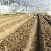 Estufa Agrícola Usada