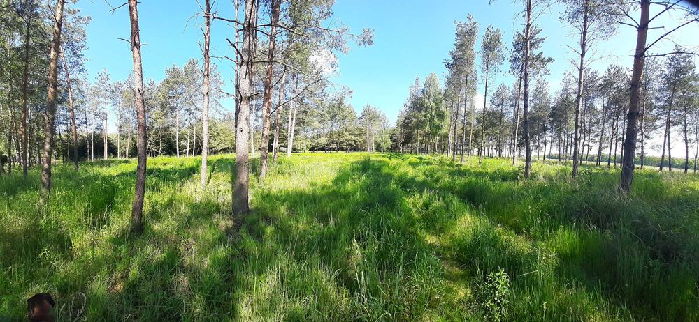 Działki budowlane Wancerzów k/Mstowa