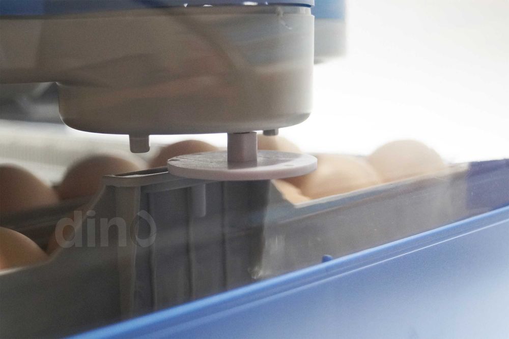 INKUBATOR automatyczny DINO PRO 70 jaj 12V 230V wylęgarka + AKCESORIA