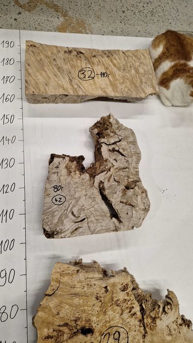 Nr42 Czeczota topoli plaster rzeźba 3D