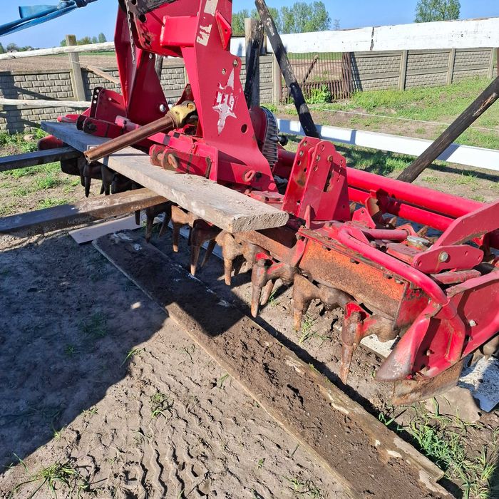 Byk, krowy, cielaki ZAMIANA