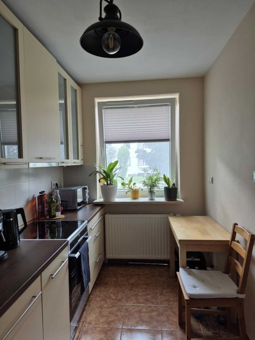 Kawalerka (34m2) na wynajem - bezpośrednio