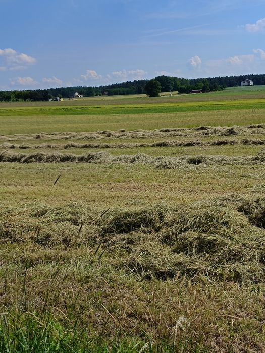 Działka budowlana Kobyla Góra 12 ar