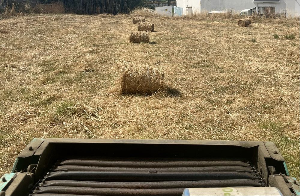 Mini Fardos Redondos (Entregas Margem Sul e Lisboa)