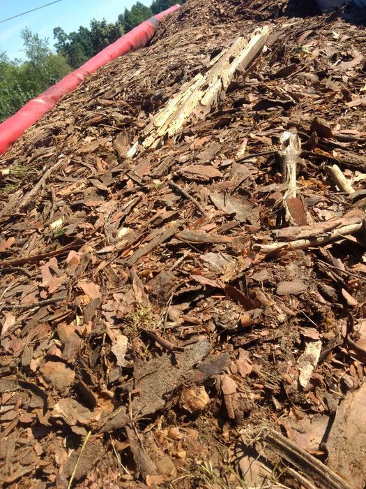 Obornik Bydlęcy, Dowóz, Kora pod borówkę