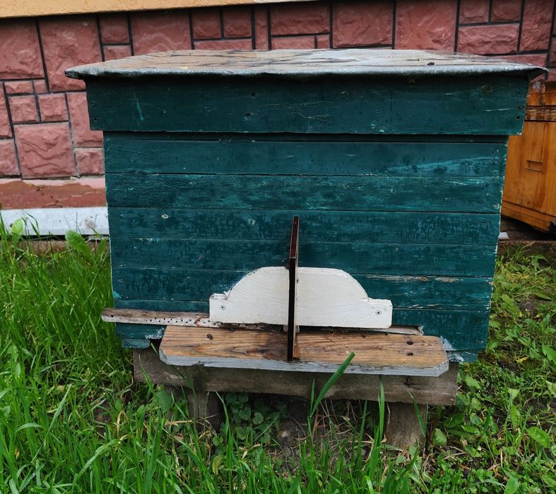 Продається  вулик