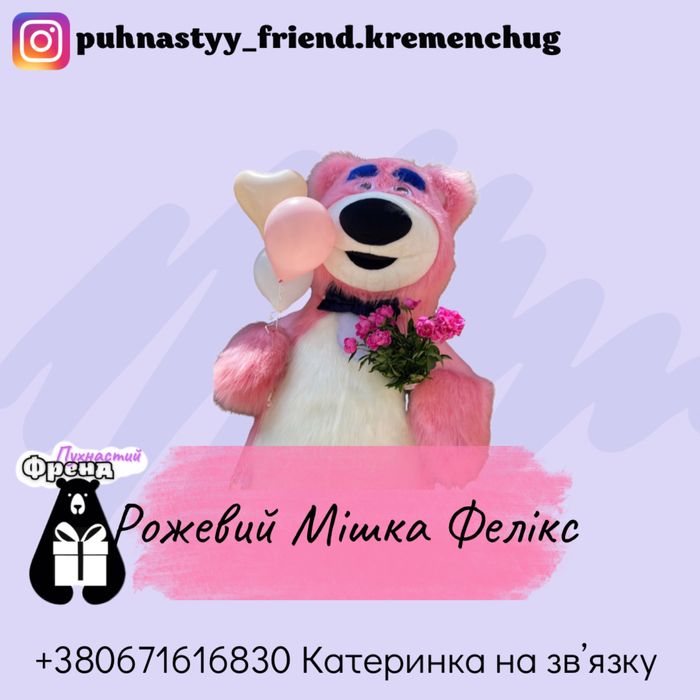 Мишка аниматор, Панда на день рождение