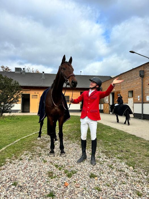 Koń profesor dla juniora/ amatora!